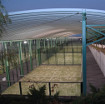 Pistas de cristal